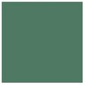Tru-Color Paint 1 oz Southern Pacific Depot Acrylic Paint, Moss Green TCP154